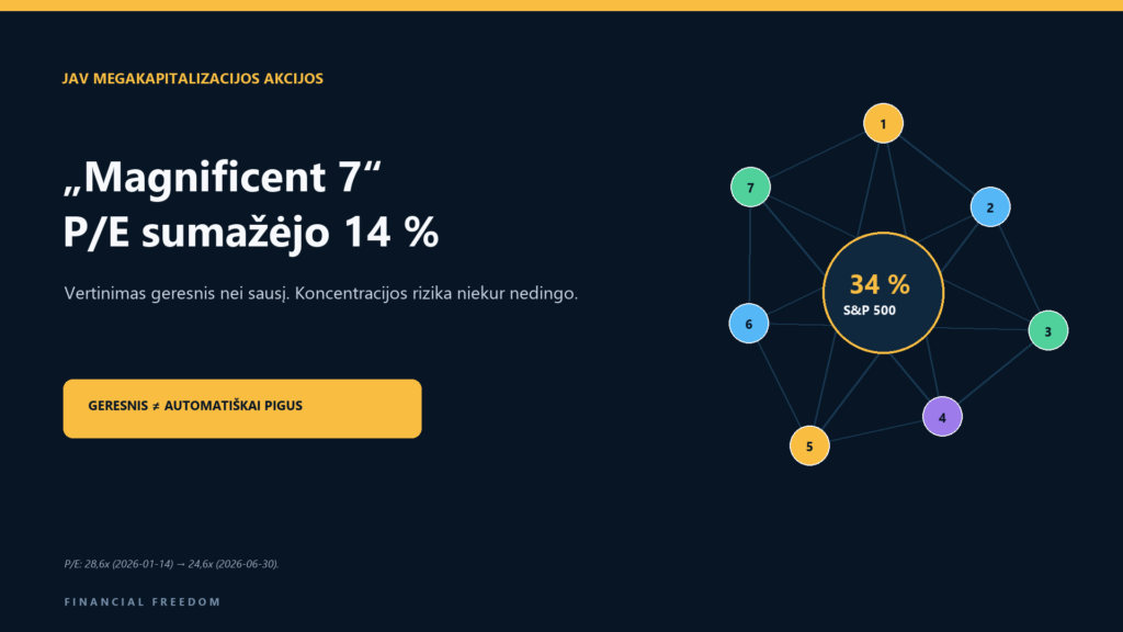 „Magnificent 7“ išankstinis P/E sumažėjo 14 procentų, o septynios bendrovės sudaro apie 34 procentus S&P 500